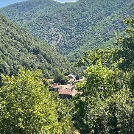 De Charme Dans Un Ancien Mas Cevenol Piscine Et Jacuzzi Dom wakacyjny *