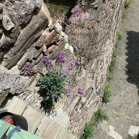 De Charme Dans Un Ancien Mas Cevenol Piscine Et Jacuzzi * Valleraugue