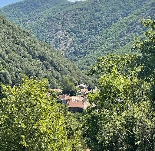 De Charme Dans Un Ancien Mas Cévenol Piscine Et Jacuzzi Hébergement de vacances *