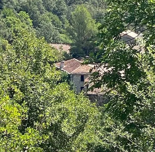 De Charme Dans Un Ancien Mas Cévenol Piscine Et Jacuzzi * Valleraugue