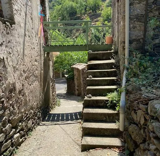 De Charme Dans Un Ancien Mas Cévenol Piscine Et Jacuzzi Hébergement de vacances