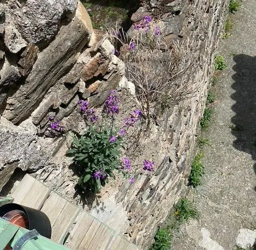 De Charme Dans Un Ancien Mas Cévenol Piscine Et Jacuzzi * Valleraugue